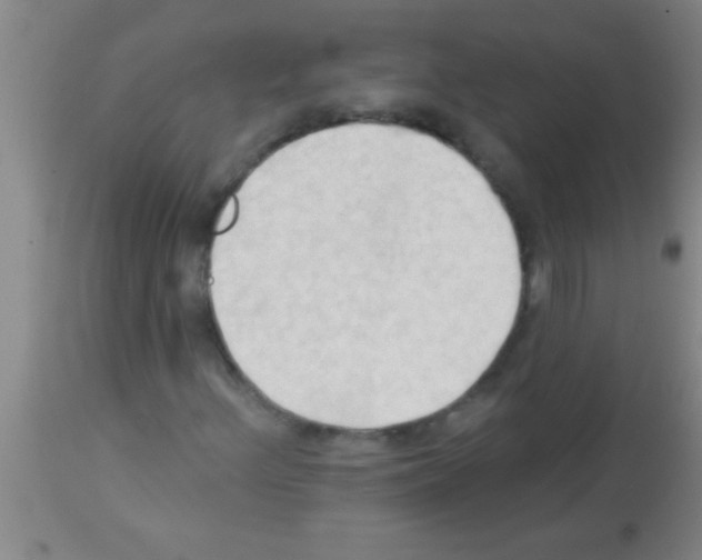 X0000113131156200910161125