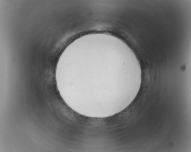 X0000113131158200910161125