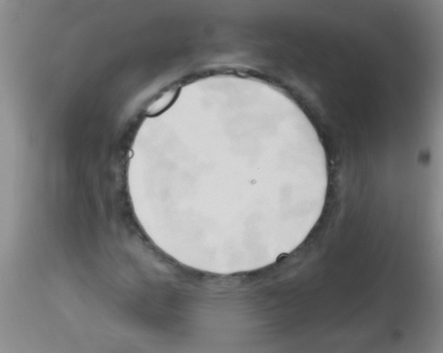 X0000113131159200910161125