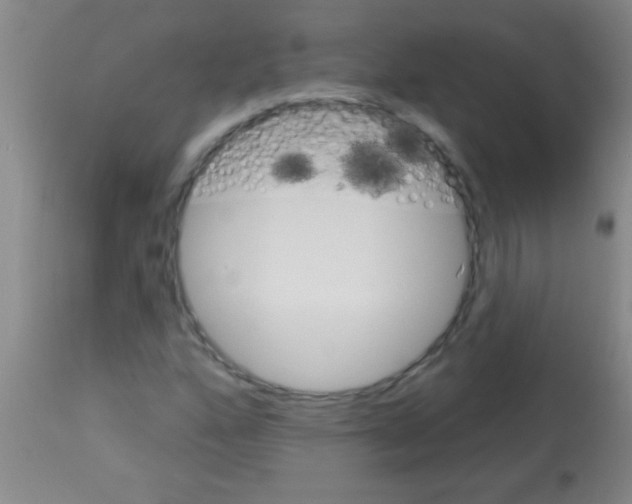 X0000113131160200910161125