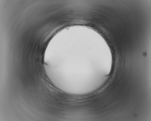 X0000113131161200910161125