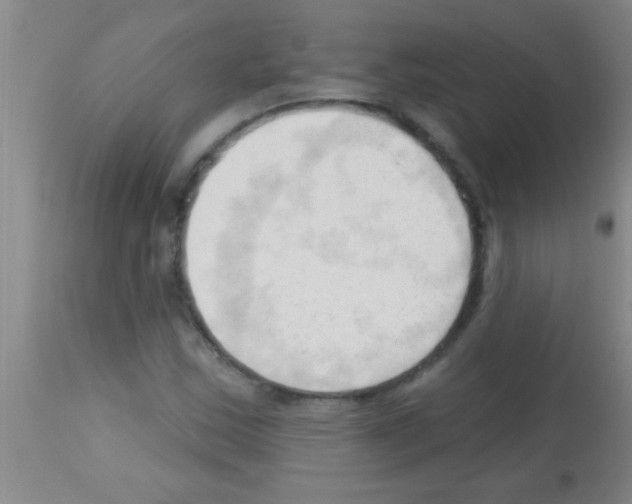 X0000113131163200910161125