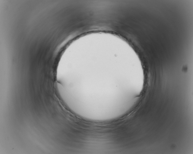 X0000113131165200910161125