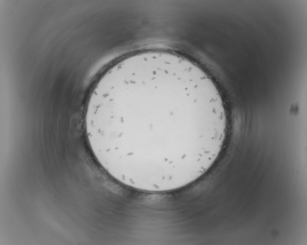 X0000113131166200910161125