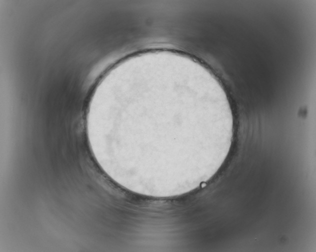 X0000113131167200910161125