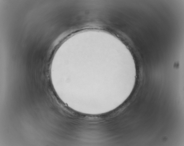 X0000113131168200910161125