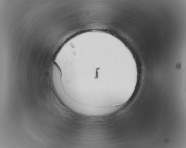 X0000113131169200910161125