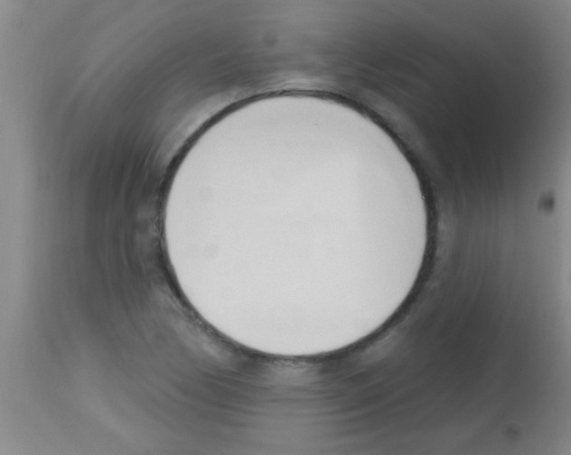 X0000113131170200910161125