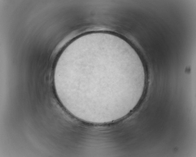 X0000113131173200910161125