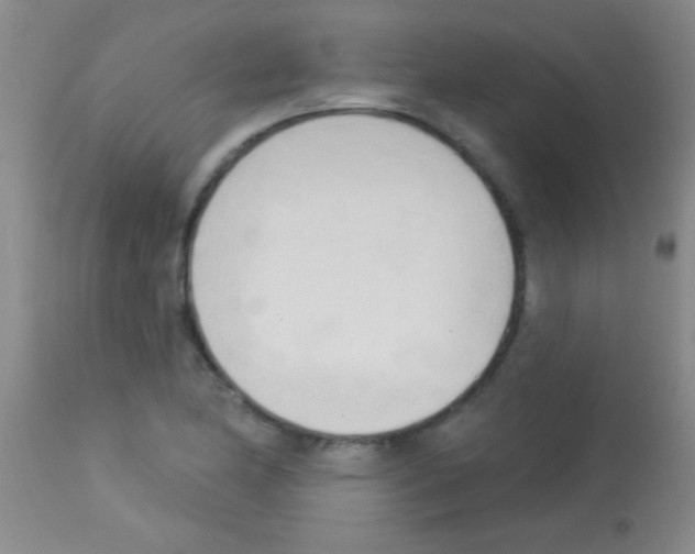 X0000113131174200910161125