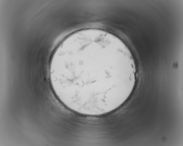 X0000113131176200910161125