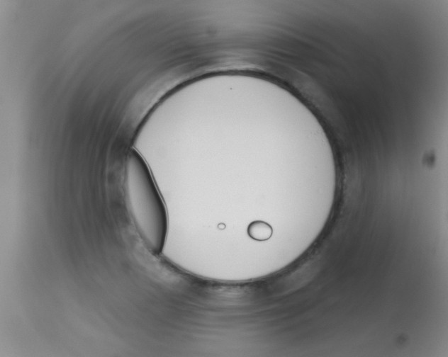 X0000113131177200910161125