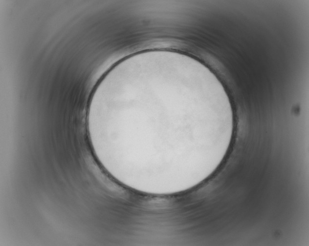 X0000113131178200910161125