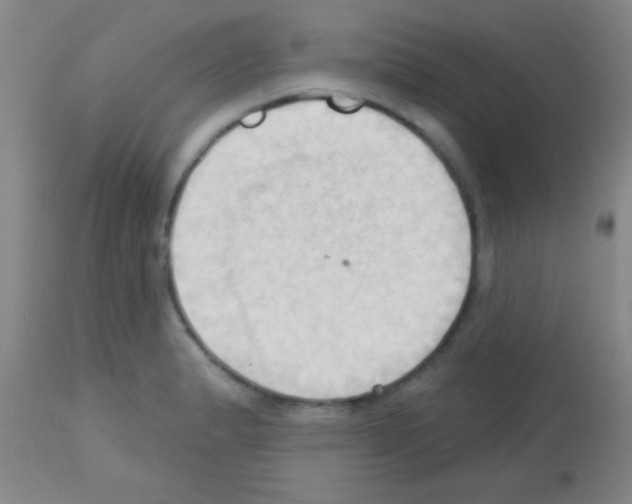 X0000113131183200910161125