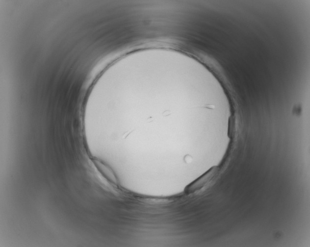 X0000113131184200910161125