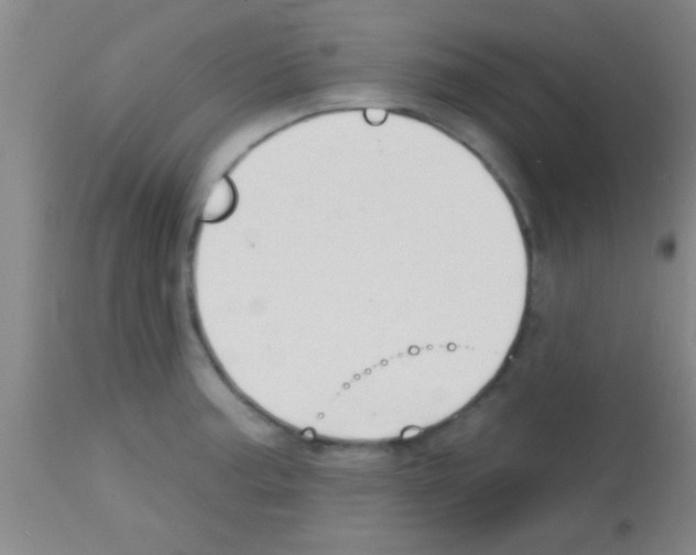 X0000113131187200910161125