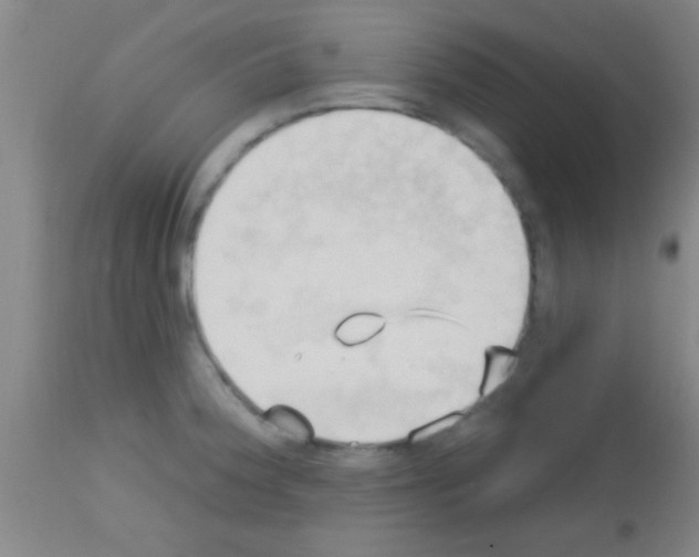 X0000113131188200910161125