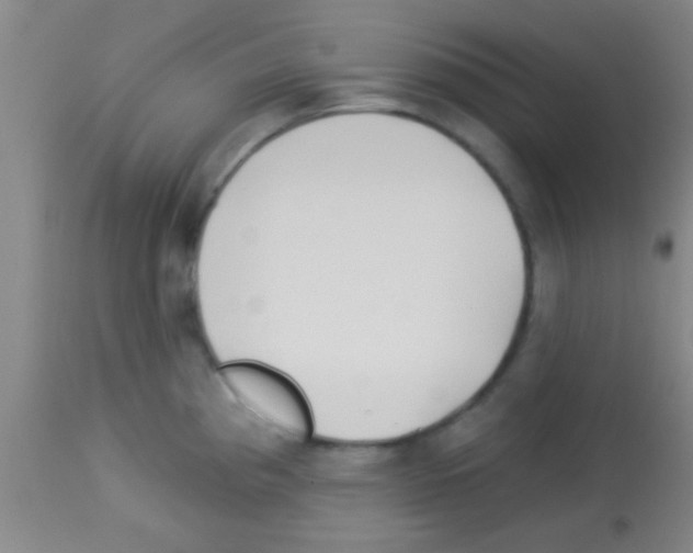 X0000113131193200910161125