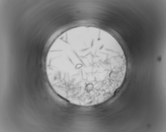 X0000113131196200910161125