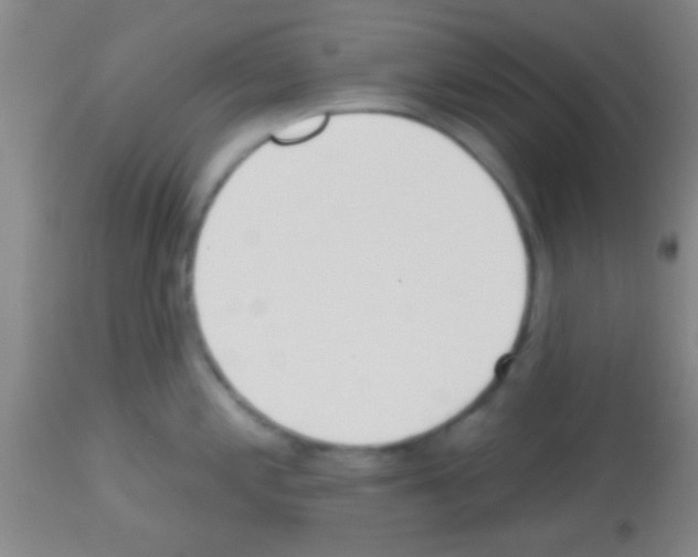 X0000113131197200910161125