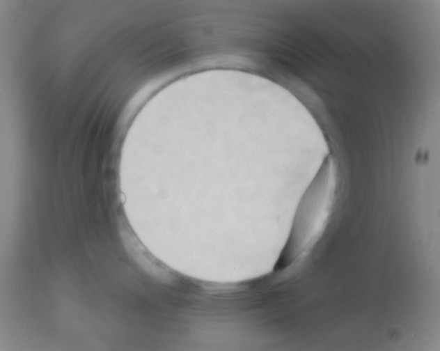 X0000113131200200910161125