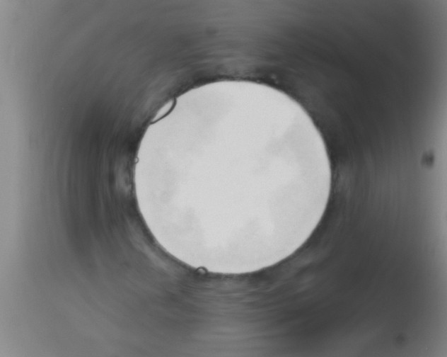 X0000113131202200910161124