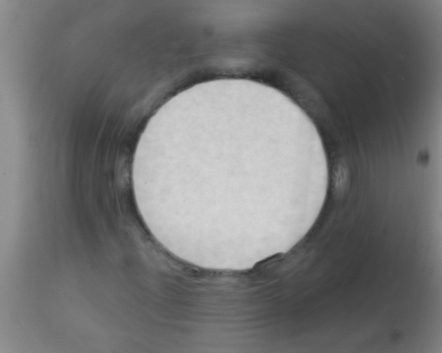 X0000113131204200910161124