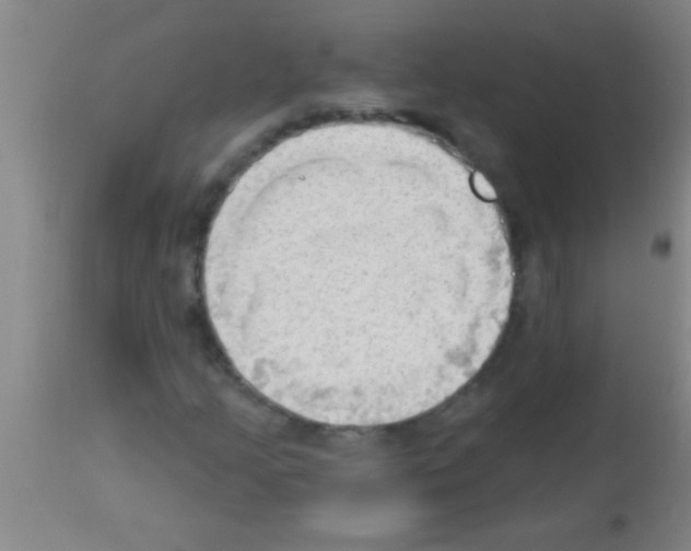 X0000113131205200910161124