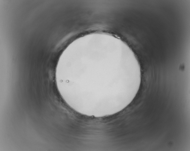 X0000113131206200910161124