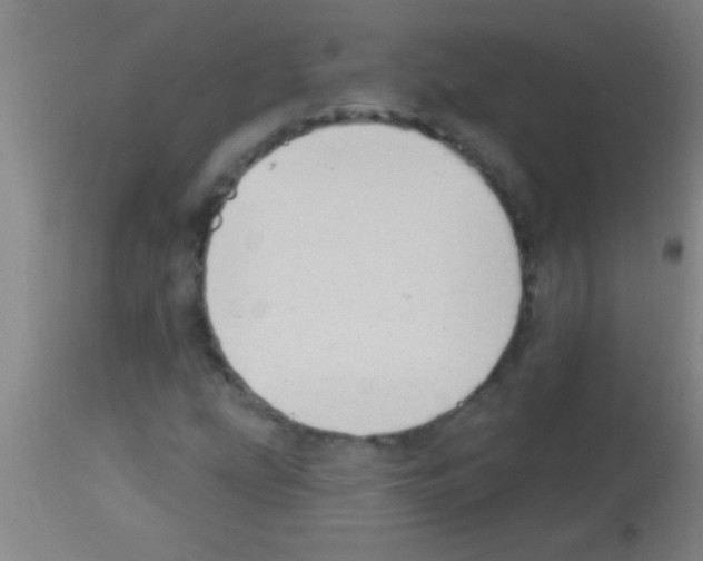 X0000113131207200910161124