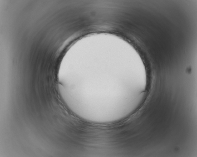 X0000113131210200910161124