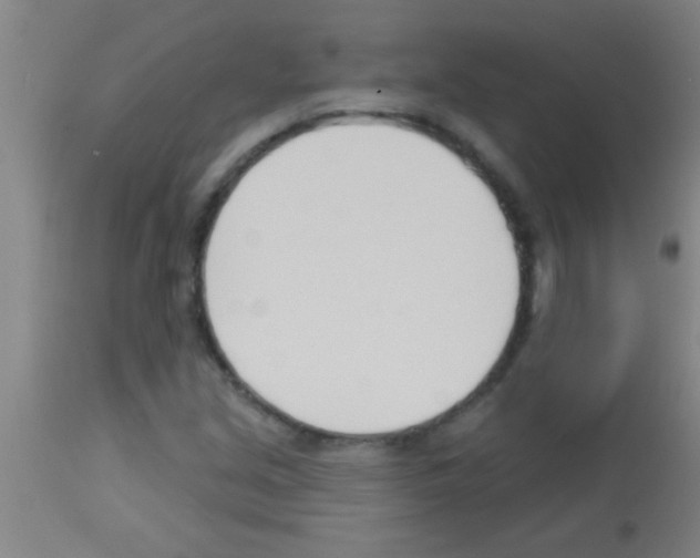 X0000113131213200910161124