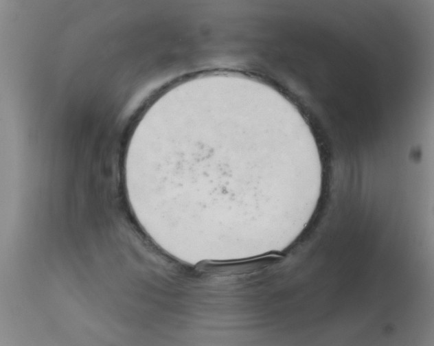 X0000113131214200910161124