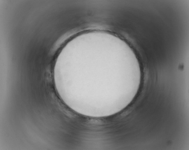 X0000113131215200910161124