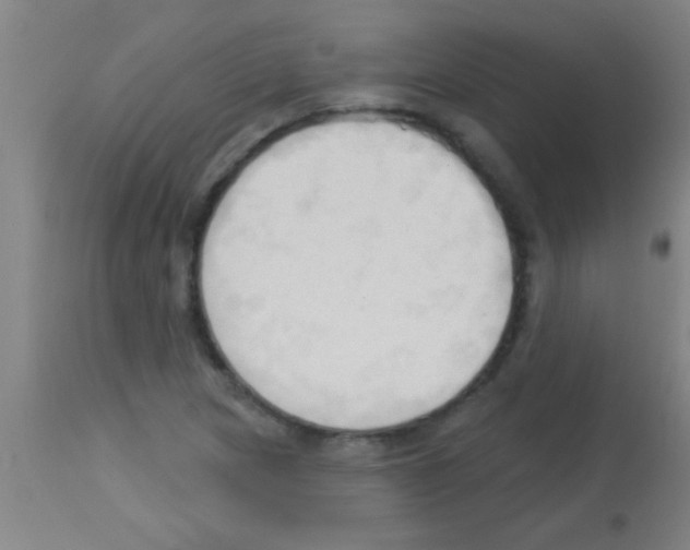 X0000113131217200910161124