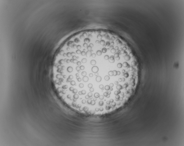 X0000113131220200910161124