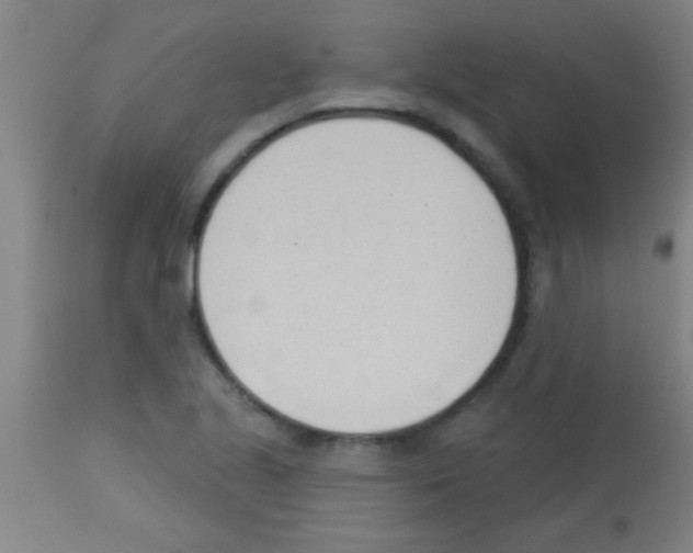 X0000113131221200910161124