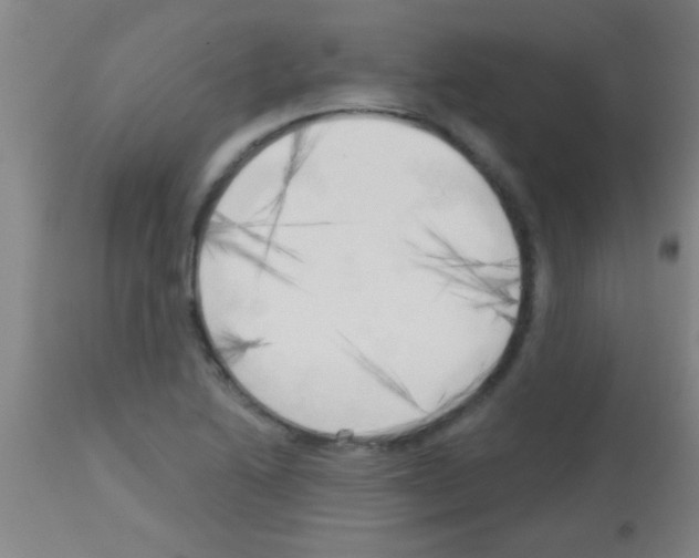 X0000113131222200910161124