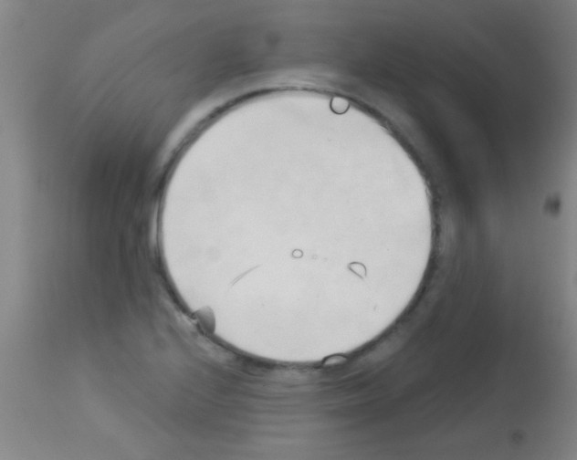 X0000113131224200910161124