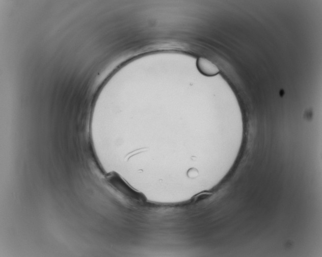 X0000113131228200910161124