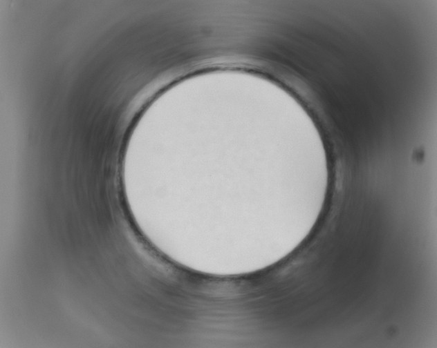 X0000113131229200910161124