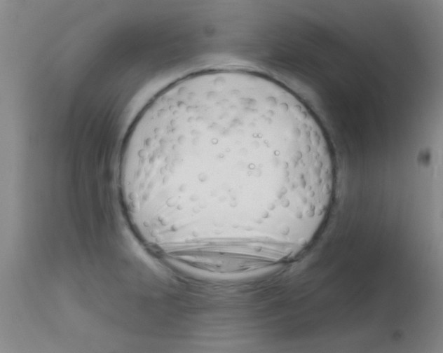 X0000113131231200910161124