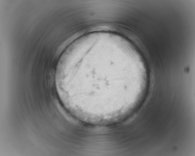 X0000113131233200910161124