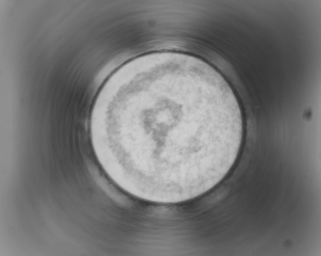 X0000113131234200910161124