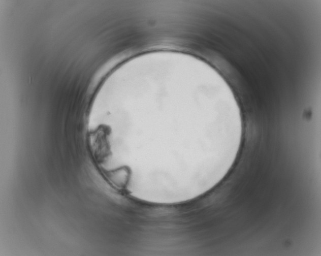 X0000113131238200910161124