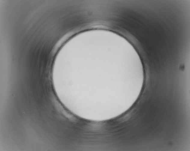 X0000113131240200910161125