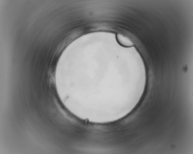 X0000113131241200910161125