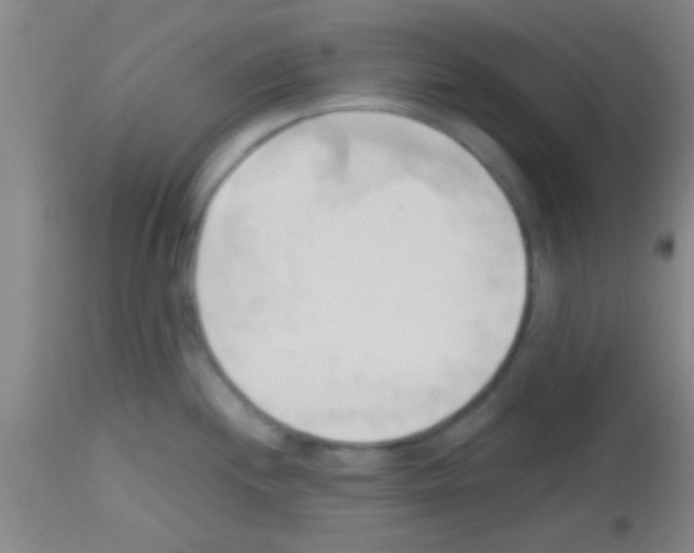 X0000113131244200910161125