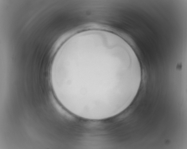 X0000113131247200910161125