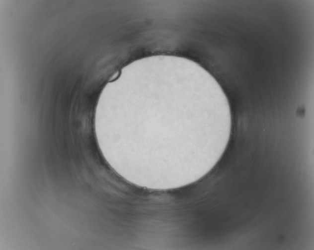 X0000113131250200910161124